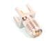 Molex 73251-2300