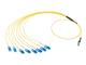 Molex 106292-0601