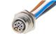 Molex 1205020024