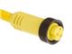 Molex 1300060246