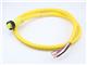 Molex 1300060051