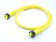 Molex 1300100541