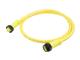 Molex 1300101833