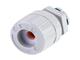 Molex 1300980129