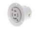 Molex 1301490063