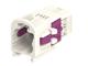 Molex 207912-5421