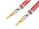 Molex 215342-2224