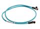 Molex 1300480161
