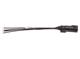 Molex 216288-1041