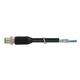 Murrelektronik 7000-15501-8050300