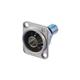 Neutrik NBB75DFI
