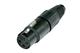 Neutrik NC3FX-1-BAG-D