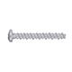 New Age Enclosures #4x.750" Screw