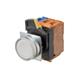 Omron Automation and Safety A22NL-MNM-TGA-G100-GC