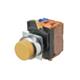 Omron Automation and Safety A22NL-RPA-TRA-G100-RC