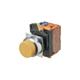 Omron Automation and Safety A22NN-RPM-NRA-G202-NN