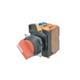 Omron Automation and Safety A22NS-2BM-NBA-G100-NN