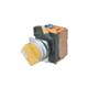 Omron Automation and Safety A22NS-2MM-NBA-G100-NN