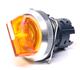 Omron Automation and Safety A30NZ-2MM-TOA