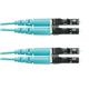 Panduit FZ2ERLNLNSNM006