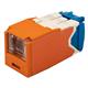 Panduit CJH6X88TGOR