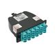 Panduit FC2XA-24-10U