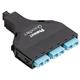 Panduit FQXO-06-03AS