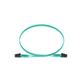 Panduit FX2ERLNSNSNM013