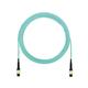 Panduit FZ2ERLNSNSNM037