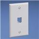 Panduit CFP1WH