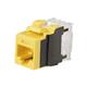 Panduit NK6X88MYL