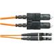 Panduit NKFPX2ELLSSM006