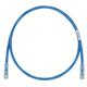 Panduit UTPSP1BUY