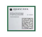 Quectel FGH200MAAM2 扩大的图像