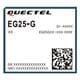 EG25GGB-256-SGNS