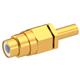 Radiall 1701-1571-003