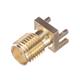 Radiall R124423243