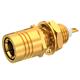 Radiall R115556000