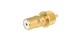 Radiall R123590027