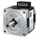 SANMOTION F5M281C075P1