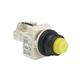Square D 9001SKT38LYY31