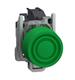 Schneider Electric XB4BPS31GEX
