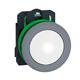 Schneider Electric XB5FVG1C0