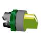 Schneider Electric ZB5AD805C0