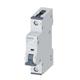 Siemens 5SY61067