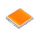 Cree LED JR5050CWT-E-B50EB0000-N0000001