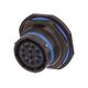 Souriau MS27468T19B11S