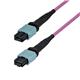 StarTech OM4MTP12BOFNP7M