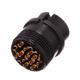 Conxall / Switchcraft 13282-20SG-331