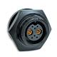 Conxall / Switchcraft W4B81-8SG-300